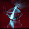 Picture of The Living Bioluminescent Bio-Turtle - A Glass Turtle microaquarium Filled with bioluminescent Glowing Plankton