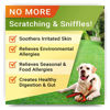 Picture of STRELLALAB Dog Allergy Relief 2 Pack (240 Chews) - Dog Itchy Skin Treatment + Omega 3 & Pumpkin, Dog Allergy Chews & Anti Itch Support Supplement, Dogs Itching & Licking Treats, Dog Itch Relief Chew