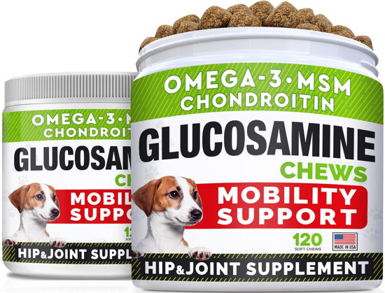 Picture of Glucosamine for Large Dogs - Joint Supplement Large Breed w/Omega-3 Fish Oil - Chondroitin, MSM - Advanced Mobility Chews - Joint Pain Relief - Hip & Joint Care - Chicken Flavor - 240Ct - Made in USA