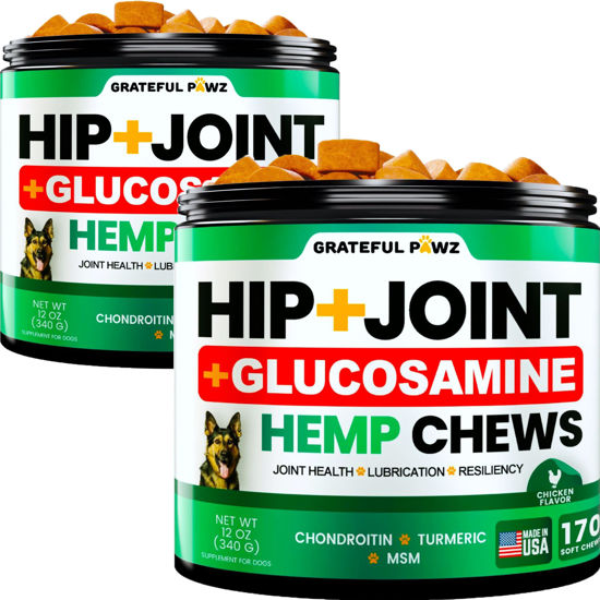 Picture of (2 Pack) Hemp Hip and Joint Supplement for Dogs - Glucosamine for Dogs - 340 Dog Joint Pain Relief Treats - Chondroitin, MSM, Hemp Oil - Advanced Dog Joint Supplement Health - Mobility Support Chews