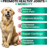 Picture of (2 Pack) Hemp Hip and Joint Supplement for Dogs - Glucosamine for Dogs - 340 Dog Joint Pain Relief Treats - Chondroitin, MSM, Hemp Oil - Advanced Dog Joint Supplement Health - Mobility Support Chews