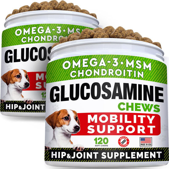 Picture of STRELLALAB Glucosamine Treats for Dogs - Joint Supplement w/Omega-3 Fish Oil - Chondroitin, MSM - Advanced Mobility Chews - Joint Pain Relief - Hip & Joint Care - Bacon Flavor - 240 Ct - Made in USA