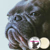 Picture of The Blissful Dog Blue French Bulldog Nose Butter, 16oz