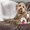 Picture of The Blissful Dog Labradoodle Nose Butter, 16oz