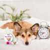 Picture of The Blissful Dog Corgi Unscented Nose Butter, 0.15-Ounce