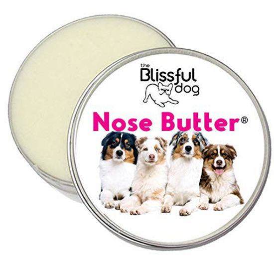 Picture of The Blissful Dog Australian Shepherd Nose Butter, 16oz