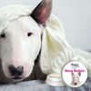 Picture of The Blissful Dog Bull Terrier Nose Butter, 16oz