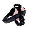 Picture of Pink Joyride Harness 2.0 - L