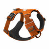 Picture of Ruffwear, Front Range Dog Harness, Reflective and Padded Harness for Training and Everyday, Campfire Orange, X-Small