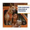 Picture of Ruffwear, Front Range Dog Harness, Reflective and Padded Harness for Training and Everyday, Campfire Orange, X-Small