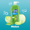 Picture of Dial Kids 2-in-1 Body+Hair Wash, Melon, 32 fl oz