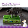 Picture of Catstages Grass Patch Hunting Box Cat Toy