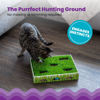 Picture of Catstages Grass Patch Hunting Box Cat Toy