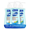 Picture of Dial 2X Concentrated Liquid Hand Soap, Coconut Water & Mango 3/11 fl oz bundle