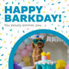 Picture of Outward Hound Hide A Birthday Cake, Plush Puzzle Birthday Themed Dog Toy