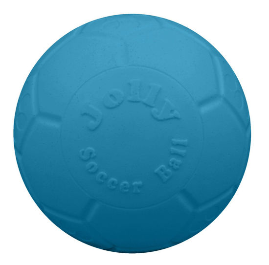 Picture of Jolly Pets Medium 6 inch Diameter Ocean Blue Modern Style Soccer Ball Floating Bouncing Dog Toy