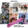 Picture of Hi Kiss Check Cord Large,Medium Small Dogs/Puppy Obedience Recall Training Agility Lead - 15ft 20ft 30ft 50ft Training Leash(Pink 20ft-Diam 1/2"-1 Hook)