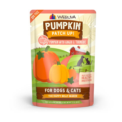 Picture of Weruva Pumpkin Patch Up!, Pumpkin with Ginger & Turmeric for Dogs & Cats, 2.8oz Pouch (Pack of 12)