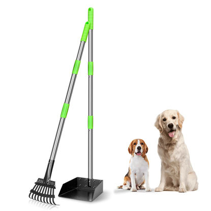 Picture of TOOGE Pooper Scooper, Dog Pooper Scooper Long Handle Stainless Metal Tray and Rake for Large Medium Small Dogs Heavy Duty (Green) (A-Standard)