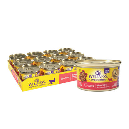 Picture of Wellness Complete Health Gravies Grain Free Canned Cat Food, Salmon Entree, 3 Ounces (Pack of 12)