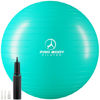 Picture of ProBody Pilates Ball Exercise Ball, Yoga Ball Chair, Multiple Sizes Stability Ball Chair, Gym Grade Birthing Ball for Pregnancy, Fitness, Balance, Workout and Physical Therapy (Aqua, 55 cm)