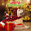 Picture of BWOGUE Santa Dog Costume Christmas Pet Clothes Santa Claus Riding Pet Cosplay Costumes Party Dressing up Dogs Cats Outfit for Small Medium Large Dogs Cats