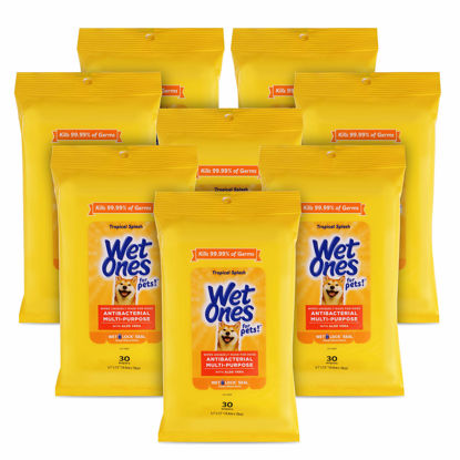 Picture of Wet Ones for Pets Multi-Purpose Dog Wipes with Aloe Vera, 30 count - 8 pack | Dog Wipes for All Dogs in Tropical Splash Scent, Wet Ones Wipes with Wet Lock Seal