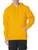 Picture of Champion Men's Powerblend Pullover Hoodie, Team Gold, Medium