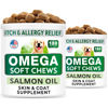 Picture of (Pack of 2) Omega 3 for Dogs - 360 Fish Oil Chews for Dog Shedding, Skin Allergy, Itch Relief, Hot Spots Treatment - Joint Health - Skin and Coat Supplement - EPA & DHA Fatty Acids - Salmon Oil