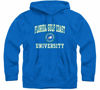 Picture of Barnesmith Florida Gulf Coast University Eagles Hooded Sweatshirt, Heritage, Royal Blue, XX-Large