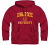 Picture of Barnesmith Iowa State University Cyclones Hooded Sweatshirt, Heritage, Cardinal, Small