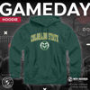 Picture of Campus Colors Adult Arch & Logo Soft Style Gameday Hooded Sweatshirt (Colorado State Rams - Green, Medium)