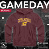 Picture of Campus Colors Adult Arch & Logo Soft Style Gameday Hooded Sweatshirt (Central Michigan Chippewas - Red, Medium)