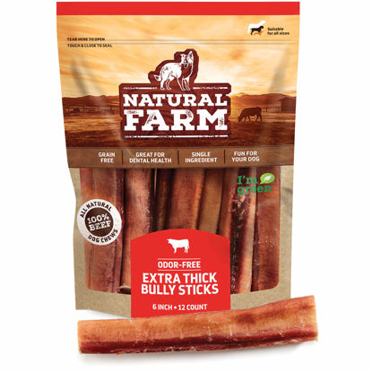 Picture of Natural Farm Odor Free Jumbo Bully Sticks (6 Inch, 12 Pack), Extra-Thick Dog Treats - Fully Digestible 100% Beef Treats, Natural Dental Chews - Keep Your Dog Busy with 50% Longer Lasting Chews