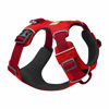 Picture of Ruffwear, Front Range Dog Harness, Reflective and Padded Harness for Training and Everyday, Red Sumac, Medium