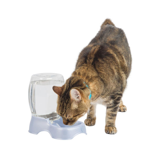 Picture of Petmate Pet Cafe Waterer Cat and Dog Water Dispenser, pearl silver gray, 0.25 GAL (24436), Made in USA