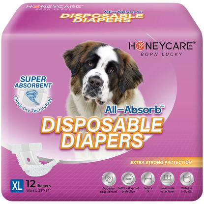 Picture of HONEY CARE All-Absorb Disposable Dog Diapers XL Size, Improved Bigger Size, 12 Count, Super Absorbent, Breathable, Wetness Indicator