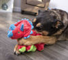 Picture of goDog Dinos Frills Squeaky Plush Dog Toy, Chew Guard Technology - Red, Large