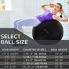 Picture of Signature Fitness Anti-Burst and Slip Resistant Exercise Ball Yoga Ball Fitness Ball Birthing Ball with Quick Pump, 2,000-Pound Capacity, Black, 34-inch, XLL