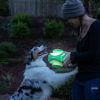 Picture of Chuckit! Kick Fetch Max Glow Ball, Large (8 Inch) Glow in the Dark Dog Toy