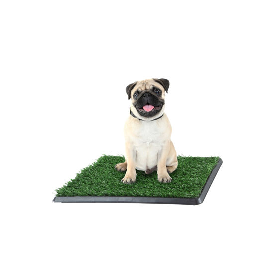 Picture of Artificial Grass Puppy Pee Pad for Dogs and Small Pets - 16x20 Reusable 3-Layer Training Potty Pad with Tray - Dog Housebreaking Supplies by PETMAKER