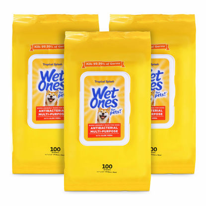 Picture of Wet Ones for Pets Multi-Purpose Dog Wipes with Aloe Vera Dog Wipes for All Dogs in Tropical Splash Wipes for Dog Paws & All Over Use (Pack of 3,300 Count Total)