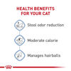 Picture of Royal Canin Feline Health Nutrition Dry Indoor Cat Food, Supports Healthy Weight, Digestive Health and Hairball Management, 3 lb Bag