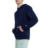 Picture of Champion Men's Hoodie, Powerblend, Fleece Striped Sweatshirt for Men (Reg. or Big & Tall)