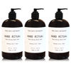 Picture of Muse Bath Apothecary Hand Ritual - Aromatic and Nourishing Hand Soap, Infused with Natural Aromatherapy Essential Oils - 16 oz, Rosemary Mint + Hemp, 3 Pack