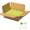 Picture of Franklin Sports Outdoor - X-40 Pickleball Balls - USA (USAPA) Approved - 12 Pack Outside - Optic Yellow - US Open Ball