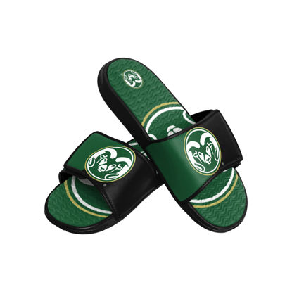 Picture of FOCO Colorado State Rams NCAA Mens Colorblock Big Logo Gel Slides - L