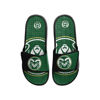 Picture of FOCO Colorado State Rams NCAA Mens Colorblock Big Logo Gel Slides - L