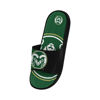 Picture of FOCO Colorado State Rams NCAA Mens Colorblock Big Logo Gel Slides - L