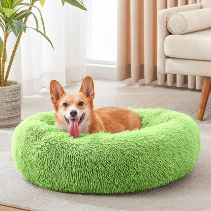 Picture of WESTERN HOME WH Calming Dog Bed & Cat Bed, Anti-Anxiety Donut Dog Cuddler Bed, Warming Cozy Soft Dog Round Bed, Dog Cat Cushion Bed for Small Medium Dogs and Cats